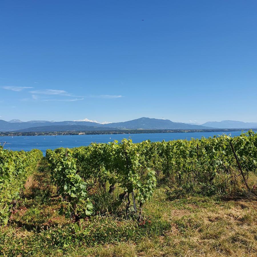 Entre Monts Et Apartment