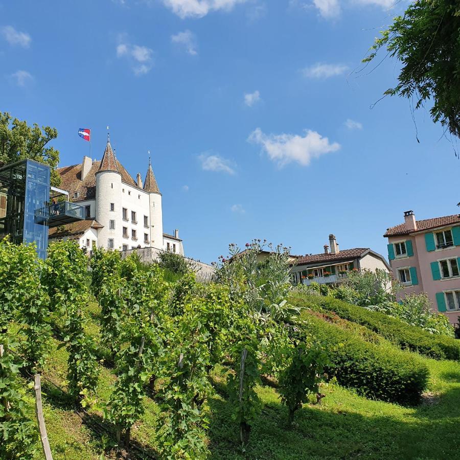 Entre Monts Et Nyon